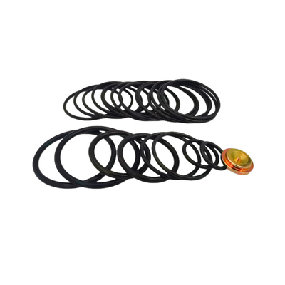 AP Compact 10 20 Baker Setzwerkzeug-Kits O Gummi-Ring Wiedergutmachung für Brücken-Plug-Reparatur-Kits