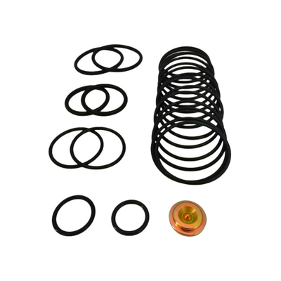 AP Compact 10 20 Baker Setzwerkzeug-Kits O Gummi-Ring Wiedergutmachung für Brücken-Plug-Reparatur-Kits