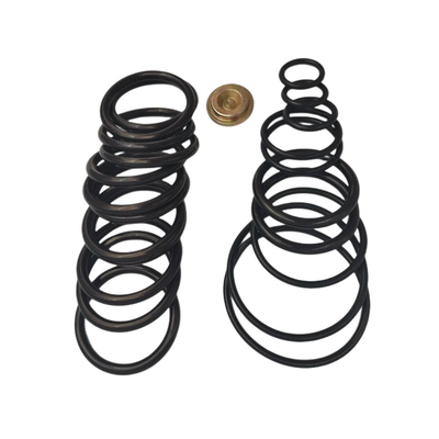 Bäcker Type O Ring Redress Kit #10, der Gummidichtung Downhole-Fertigstellungs-Werkzeuge einstellt