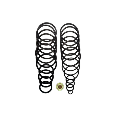 # 20 BP3.SEC-Behebung Kit Oilfield Completion Rubber O Ring Seals