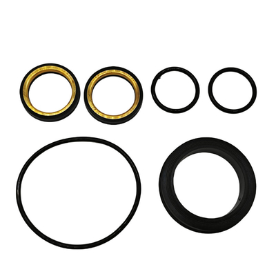 Gute chemische Beständigkeit FKM Gummi 1Inch 602 Niedrigdrehmoment Steckerventil Weiches Siegel Kit für Fertigung Werkzeug