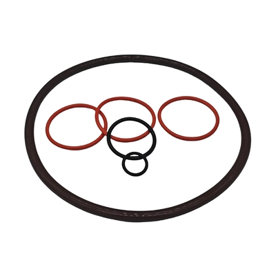 O Ringe aus unterschiedlichen Gummi-Materialien und Formen kundenspezifische Gaskets mit OEM ODM akzeptabel