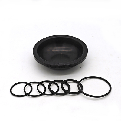 Blueflex-Diaphragm-Kit für AR30/40-Pumpen Ölbeständiges NBR- oder FKM-Kautschuk