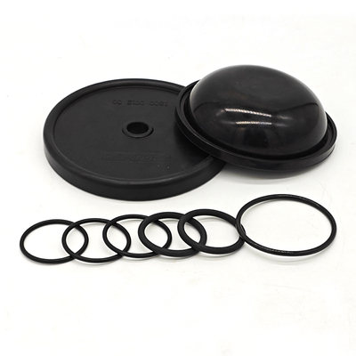 Zwerchflächenpumpen Reparatur-Kit NBR FKM Gummimaterial