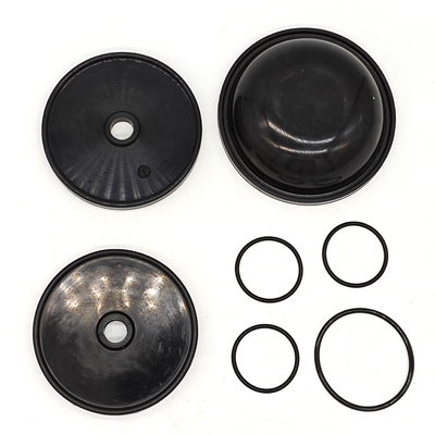 Blueflex-Diaphragm-Kit für Ar30/40-Pumpen