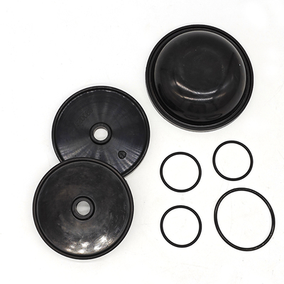 Blueflex-Diaphragm-Kit für Ar30/40-Pumpen