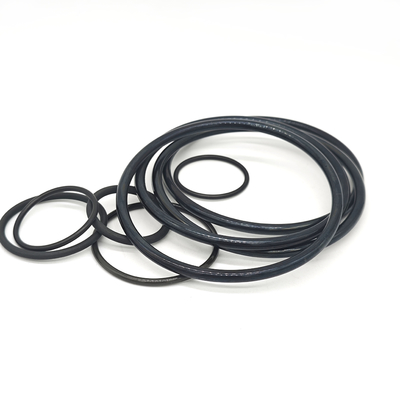 20-90 Schärfe A Härte NBR EPDM Custom O Rings