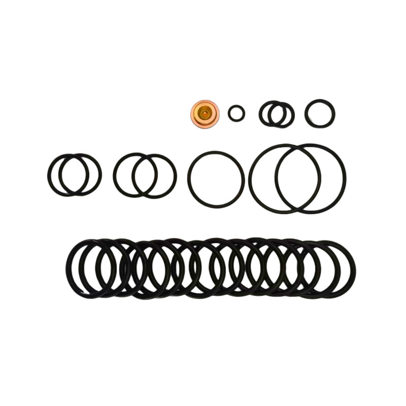 OEM/ODM verfügbar Nitril-Fluorlastomer-Brückenstecker 10 BP3.SEC Adapter-Kits für die Nachbesserung