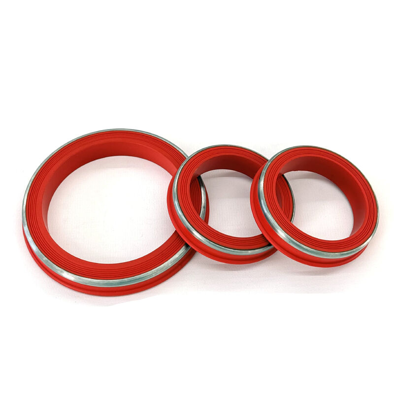 Temperaturbeständige FKM Lip Style Hammer Union Dichtungen mit SS Ring für H2S & CO2 Umgebungen